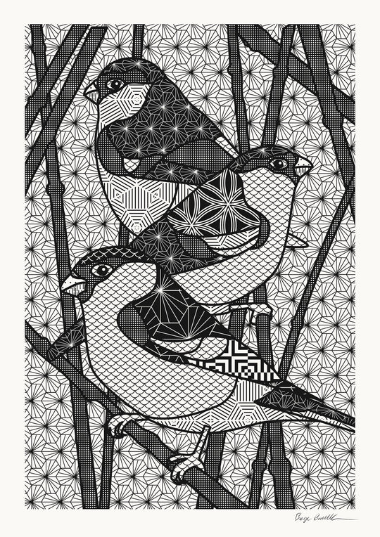 Birds