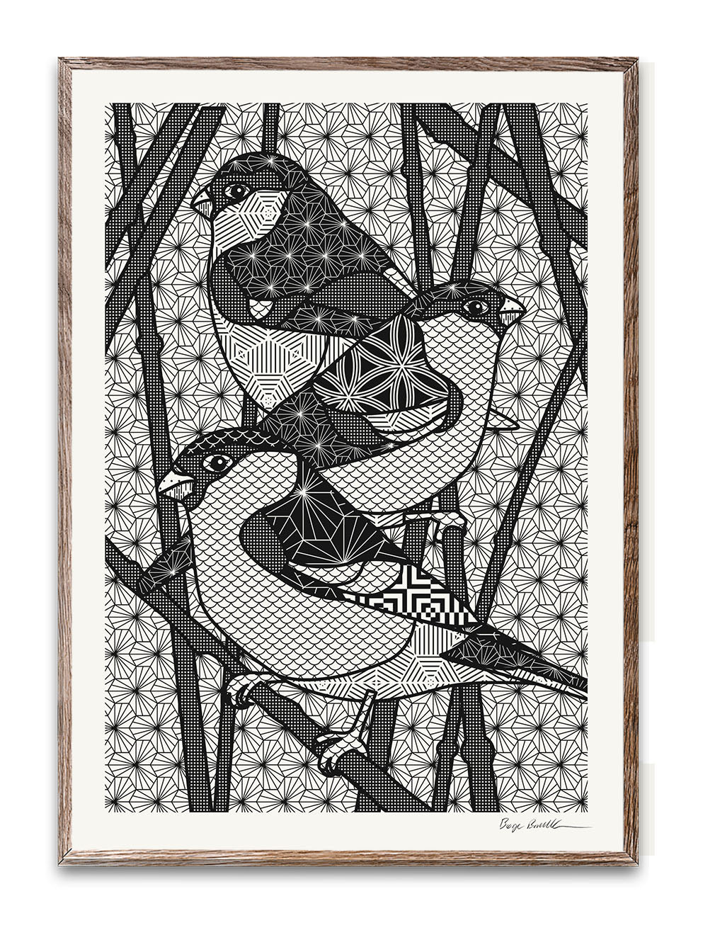 Birds