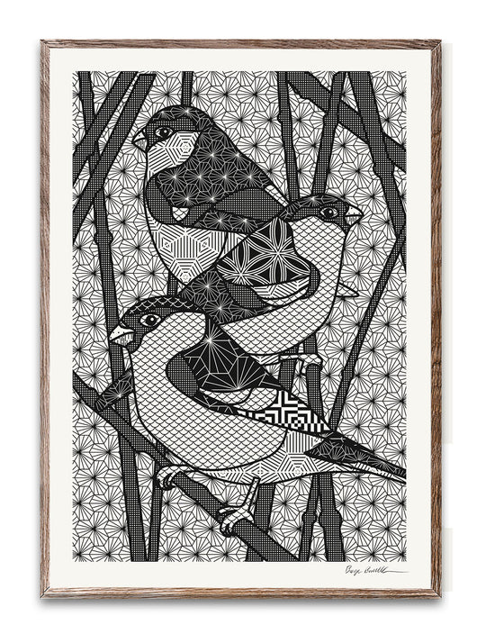 Birds