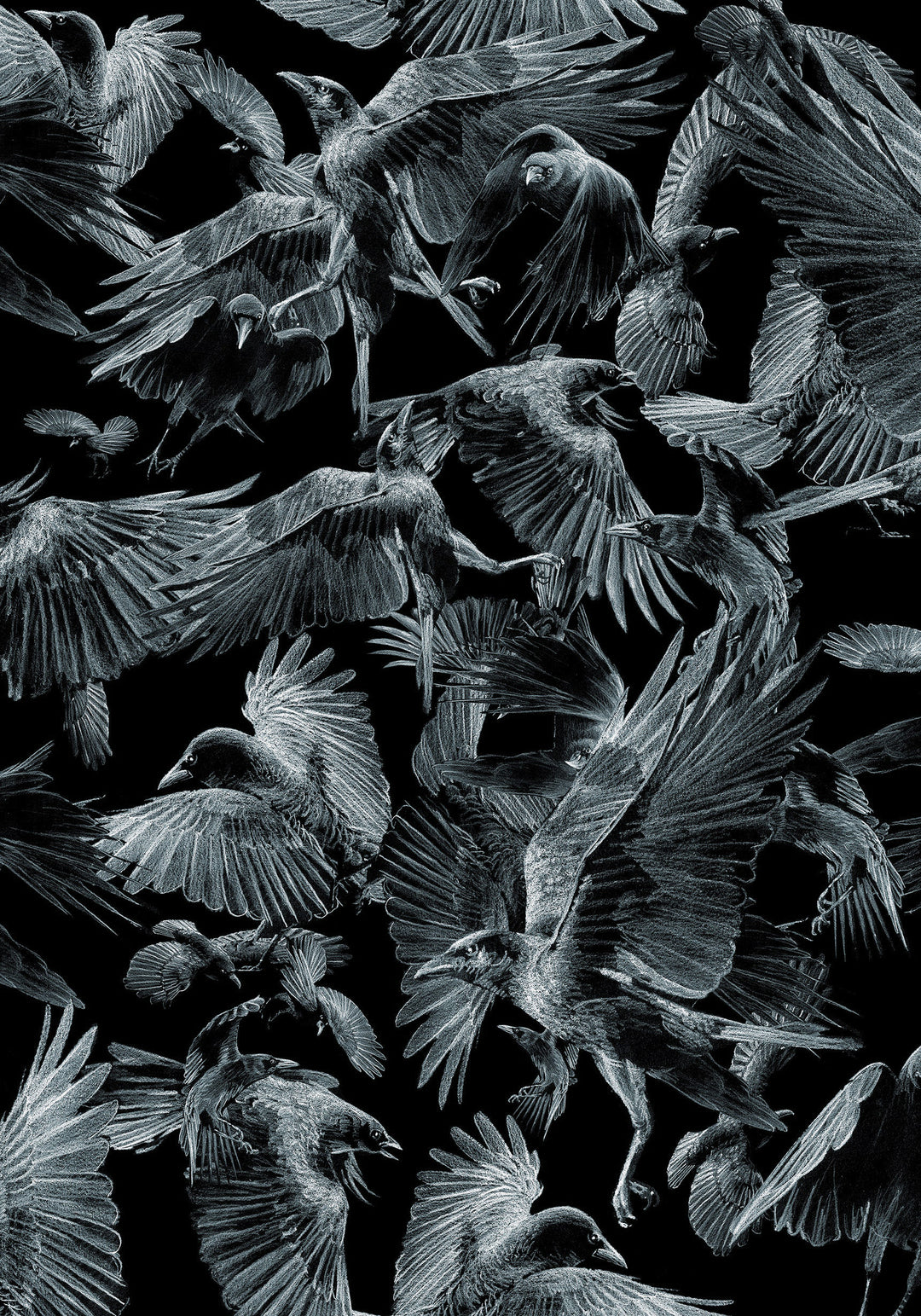Crows (Cold)