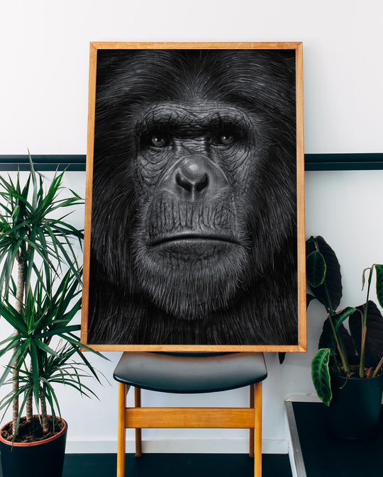 Ape