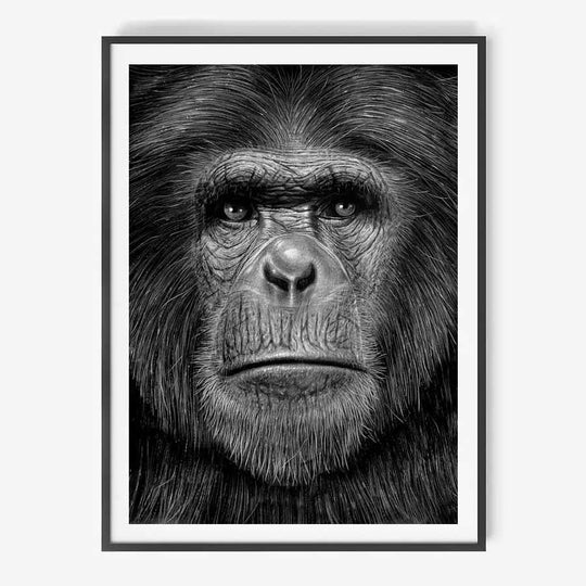 Ape