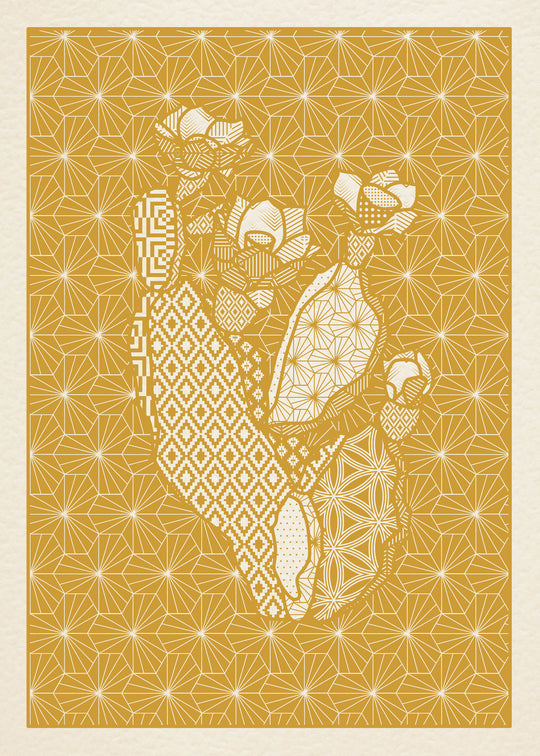 Moroccan Botanics 2