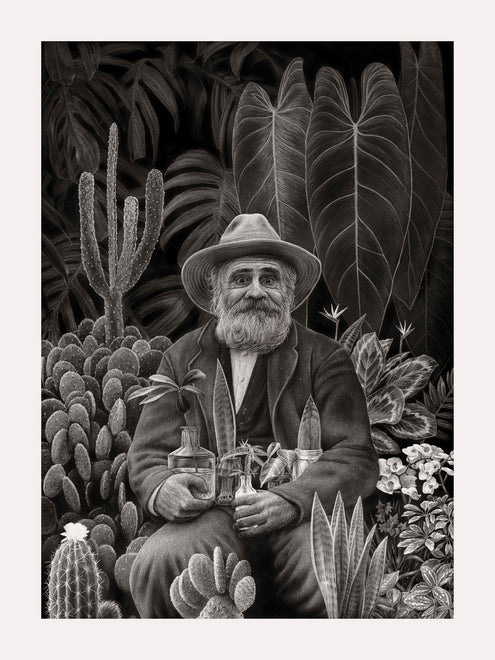 New Drawn Prints