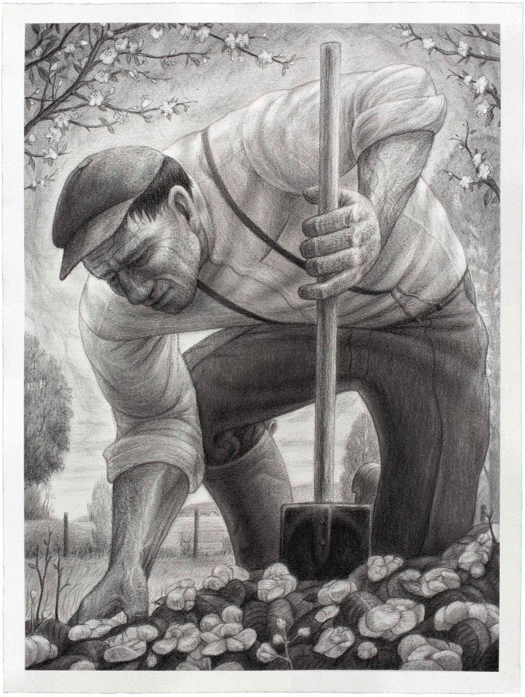 Gardener (Begonia)