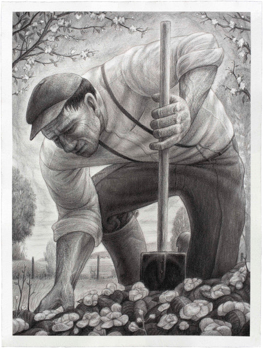Gardener (Begonia)