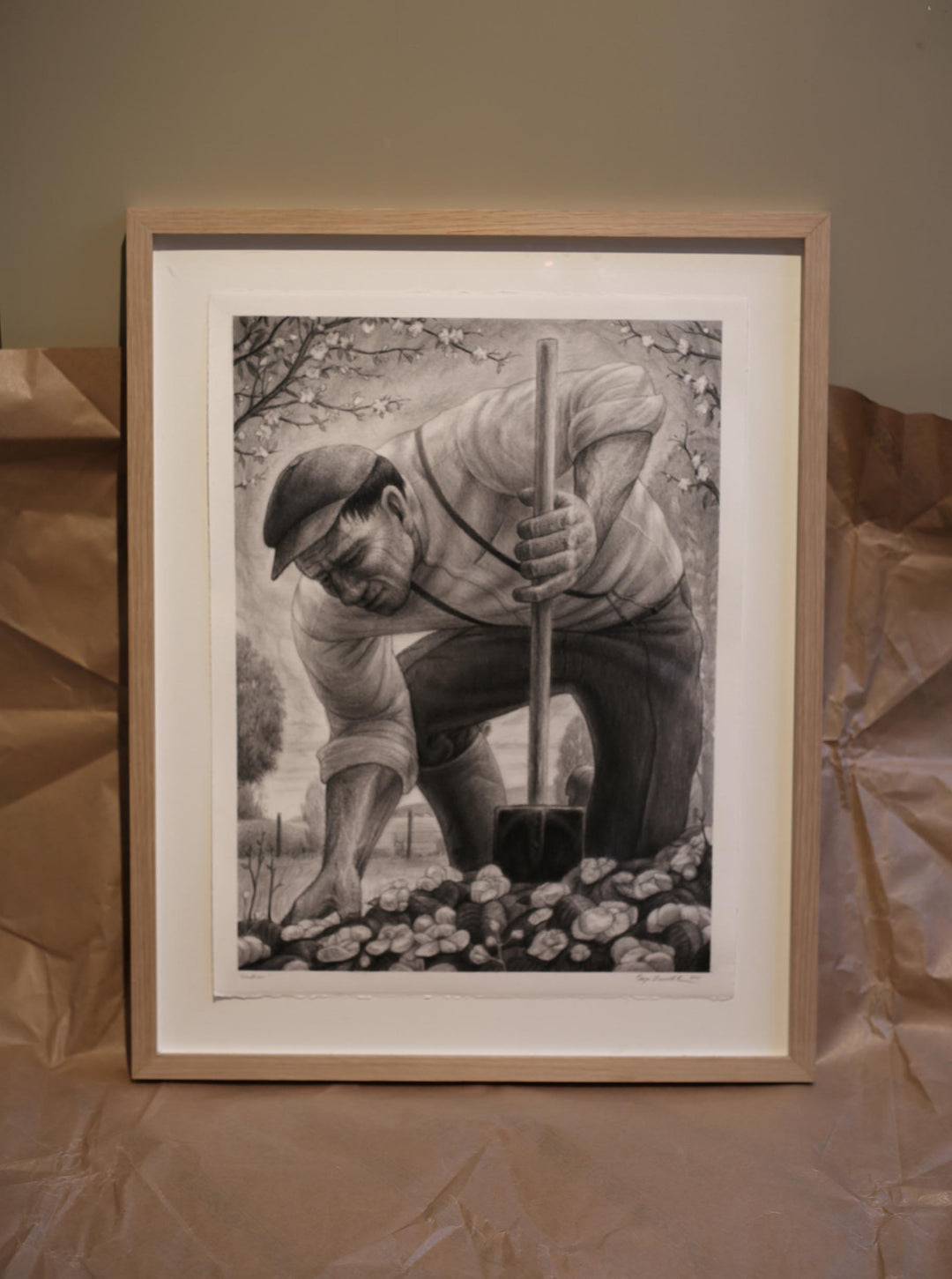 Gardener (Begonia)