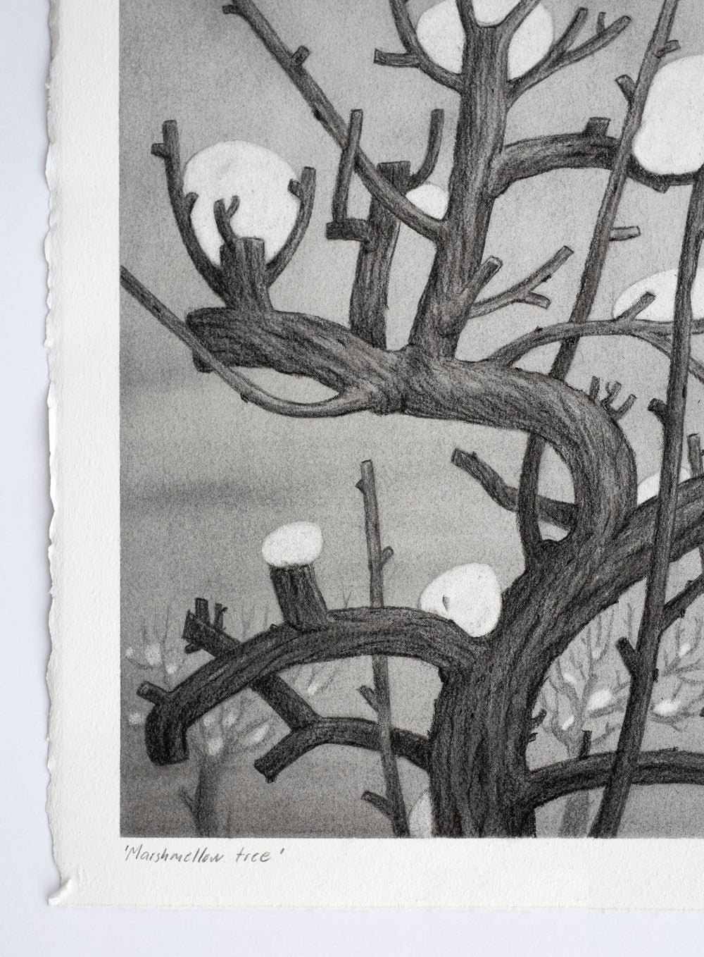 Marshmellow Tree