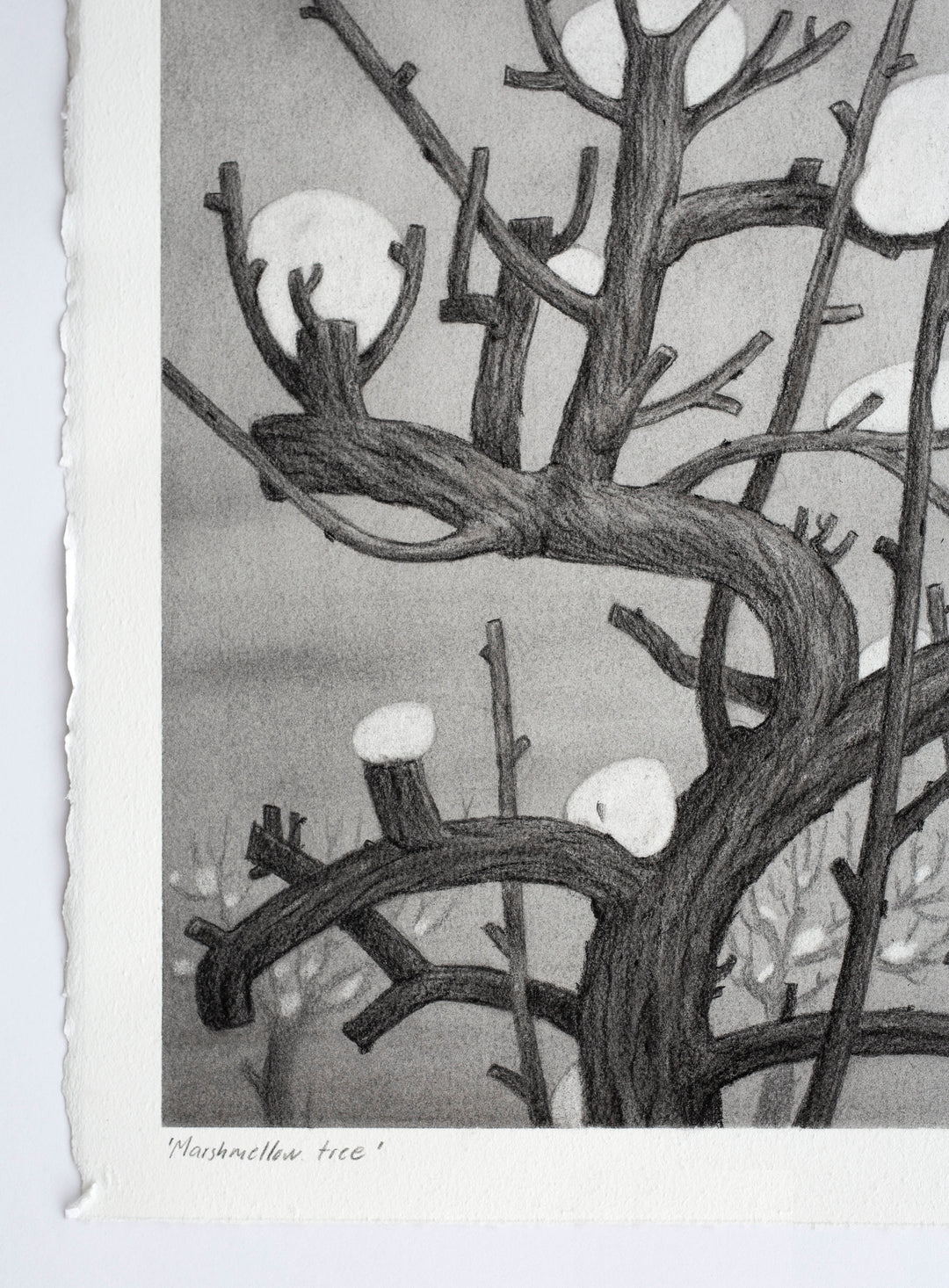Marshmellow Tree