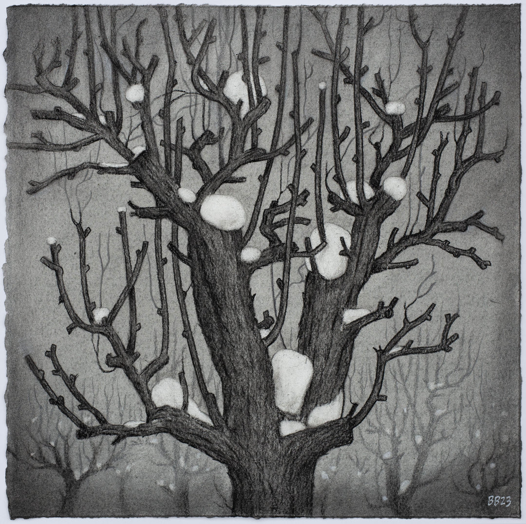 Marshmellow Tree