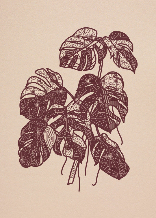 Monstera