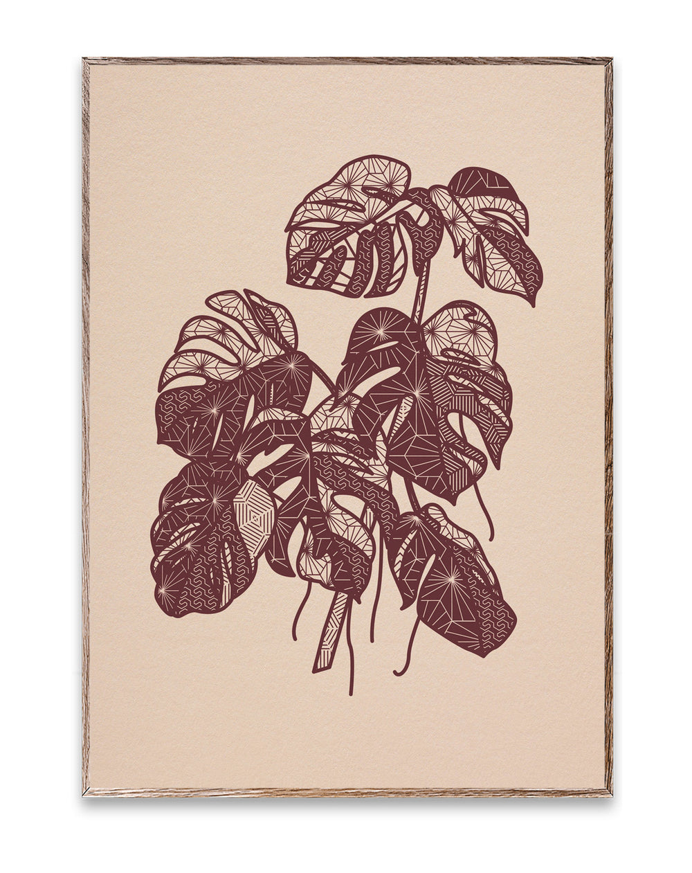 Monstera