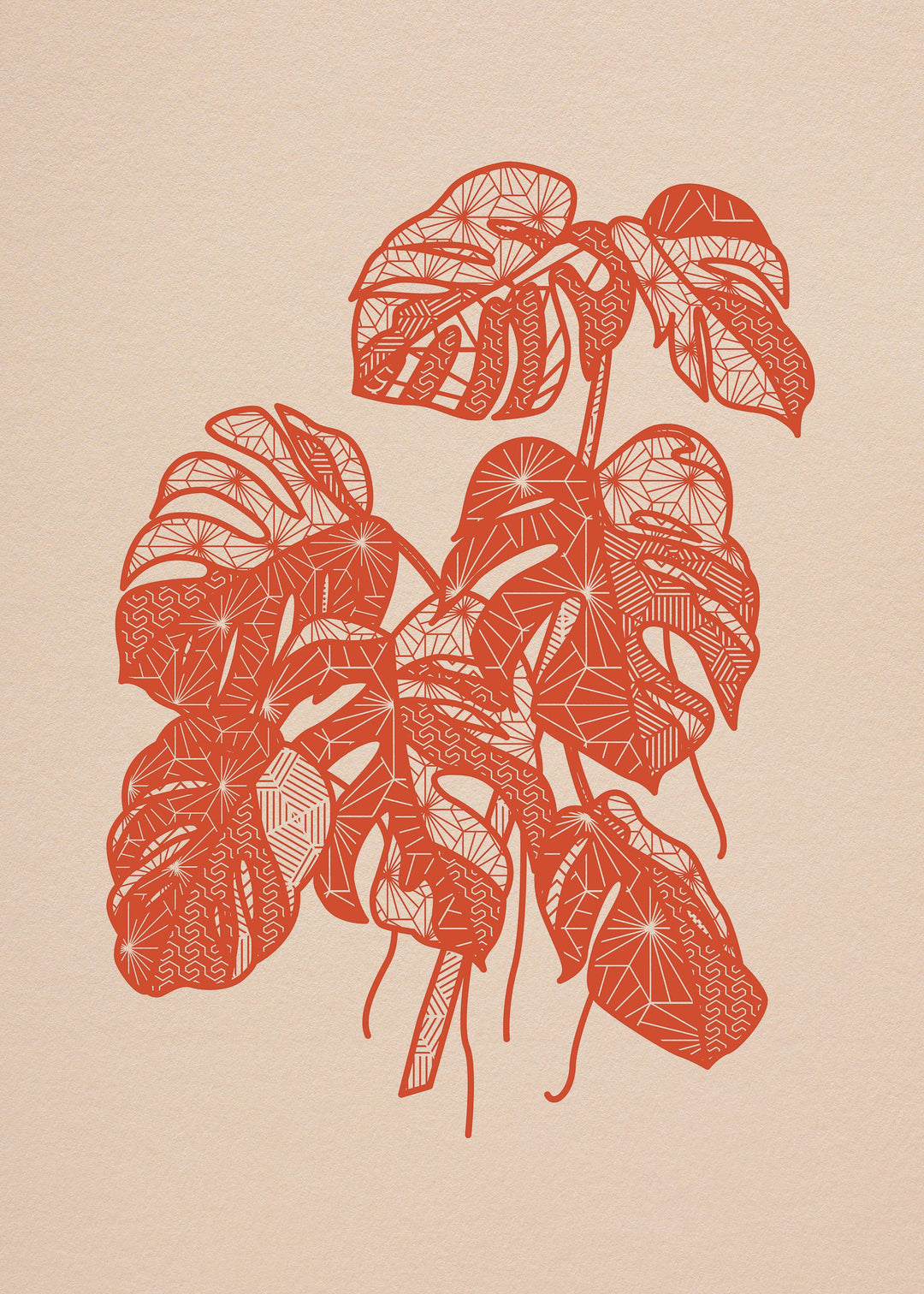 Monstera