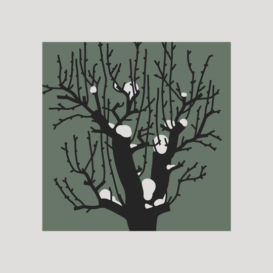 Trees II