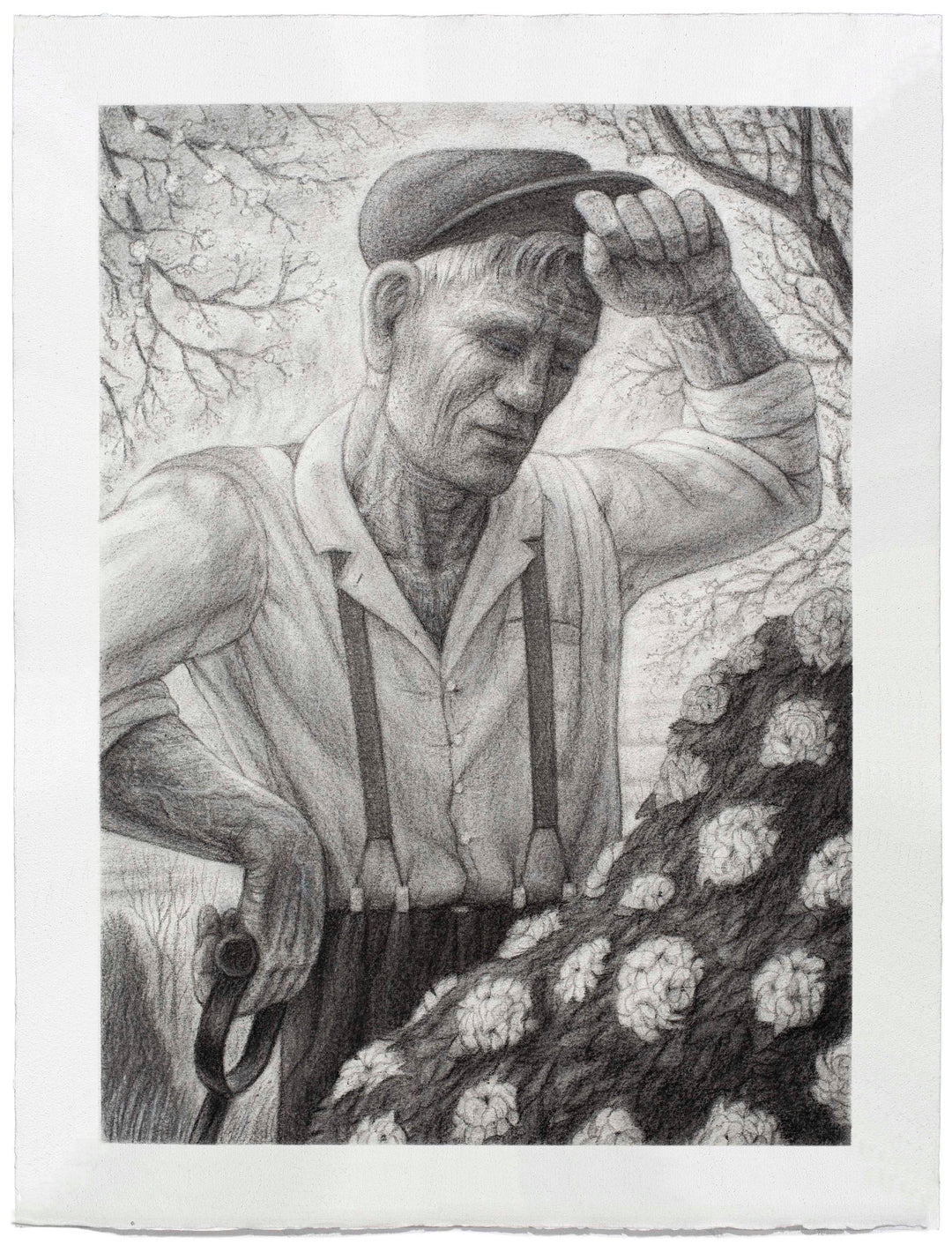 Gardener (Rhododendron)
