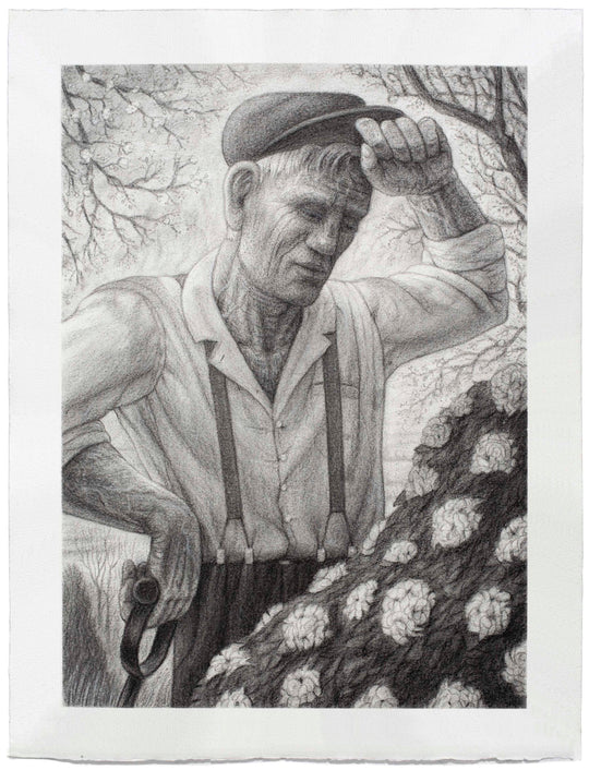 Gardener (Rhododendron)