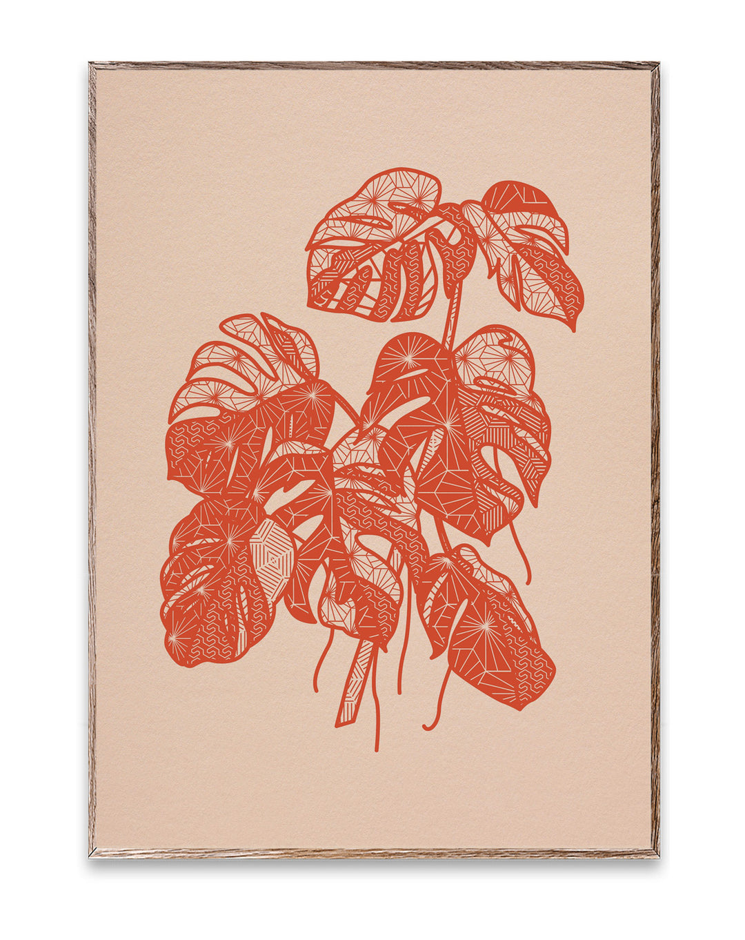 Monstera